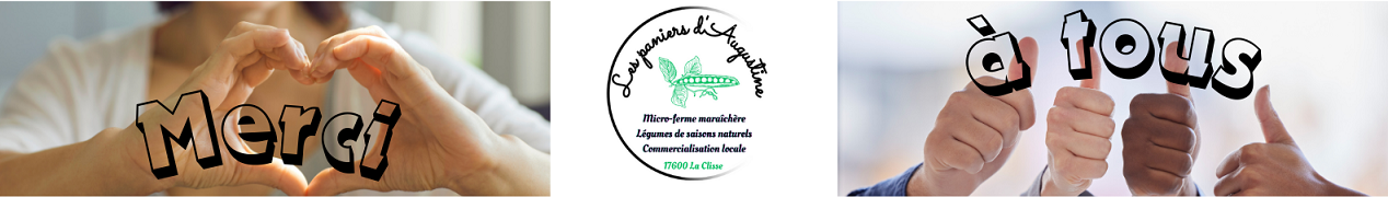 Logo Les paniers d'Augustine