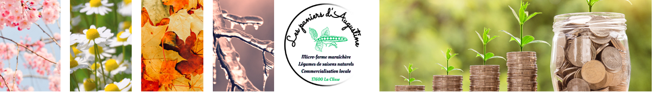 Logo Les paniers d'Augustine